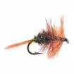 coachman dry